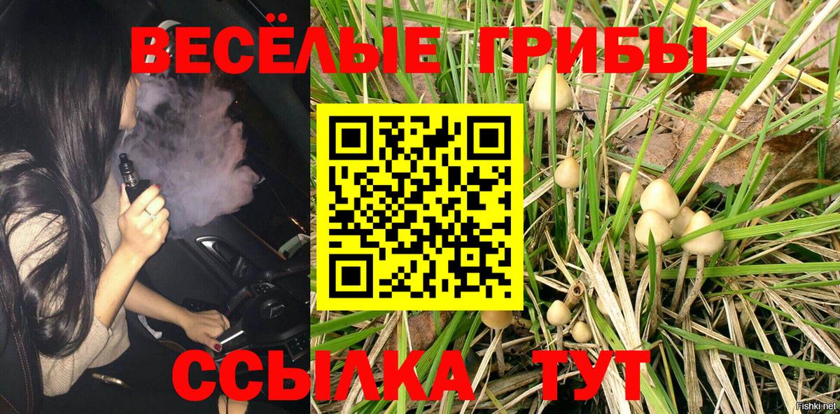 Псилоцибиновые грибы мухоморы Топки